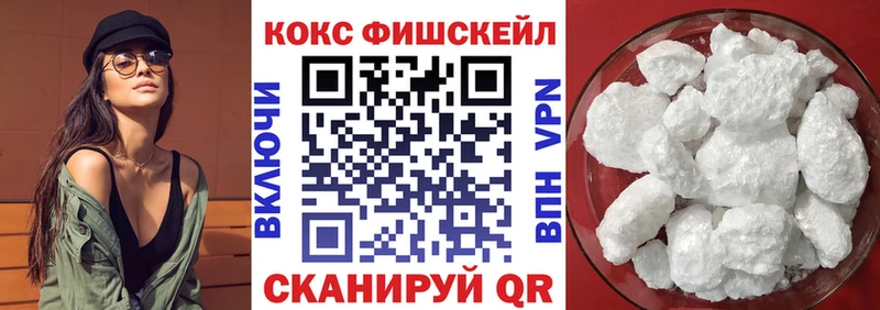 Cocaine Fish Scale  Купить закладки  Дивногорск 