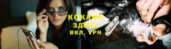 бошки Верея