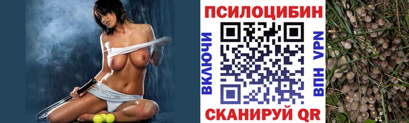 Купить  Дивногорск  Псилоцибиновые грибы ЛСД 