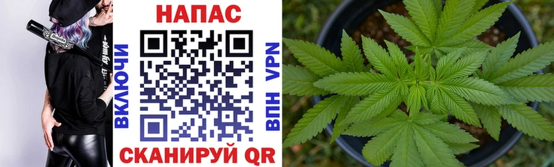 Купить где  Дивногорск  Марихуана гибрид 